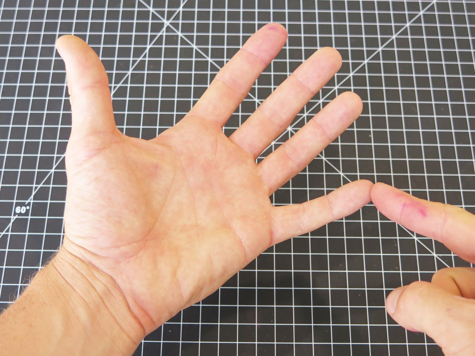 Chicken Foot Dissection 7 Steps Instructables