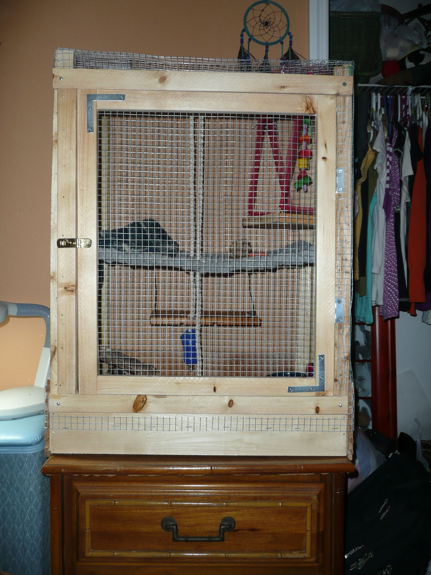 How To Pet Rats 8 Steps Instructables