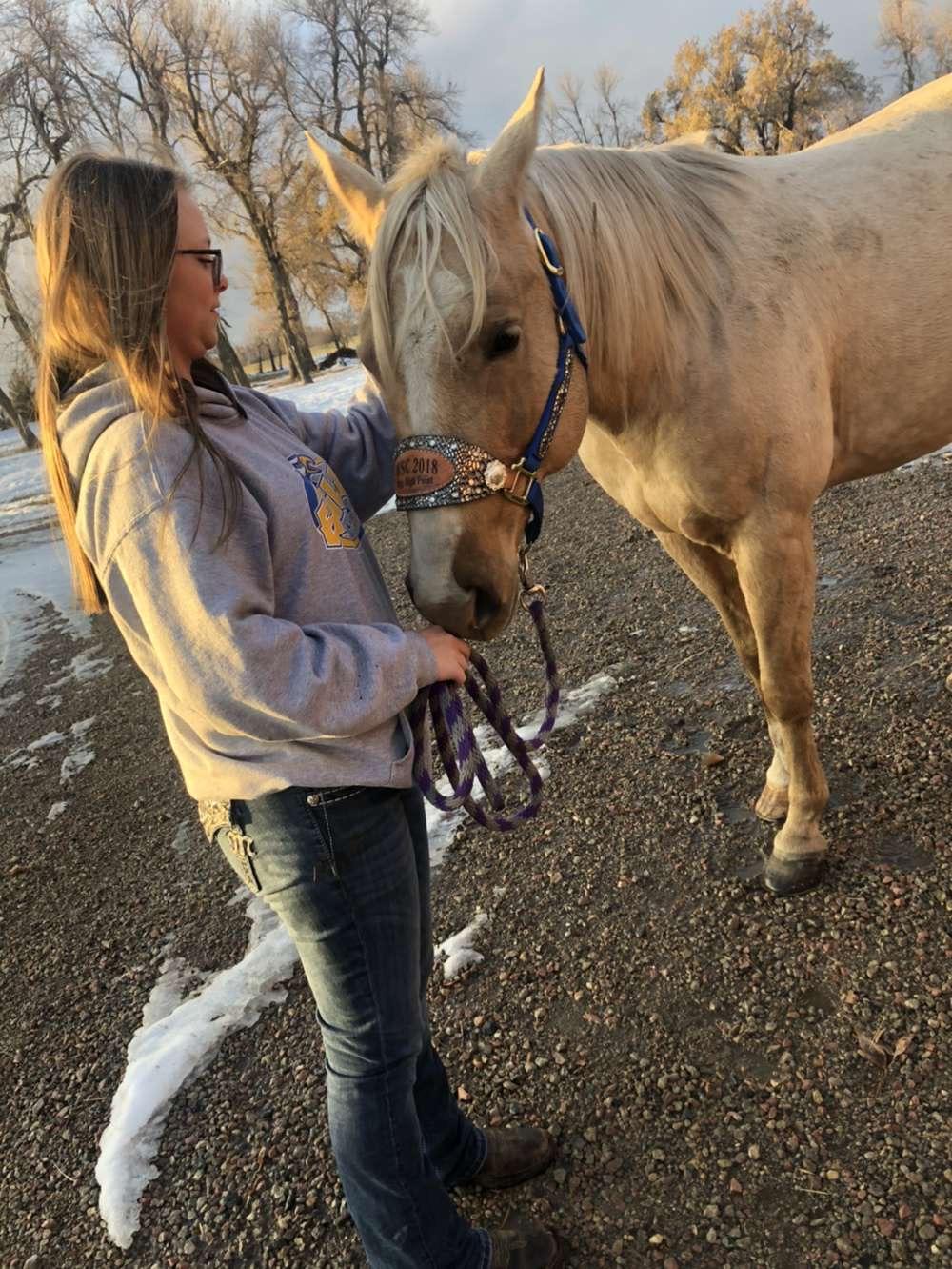 How to Properly Halter a Horse Introduction 5 Steps (with Pictures