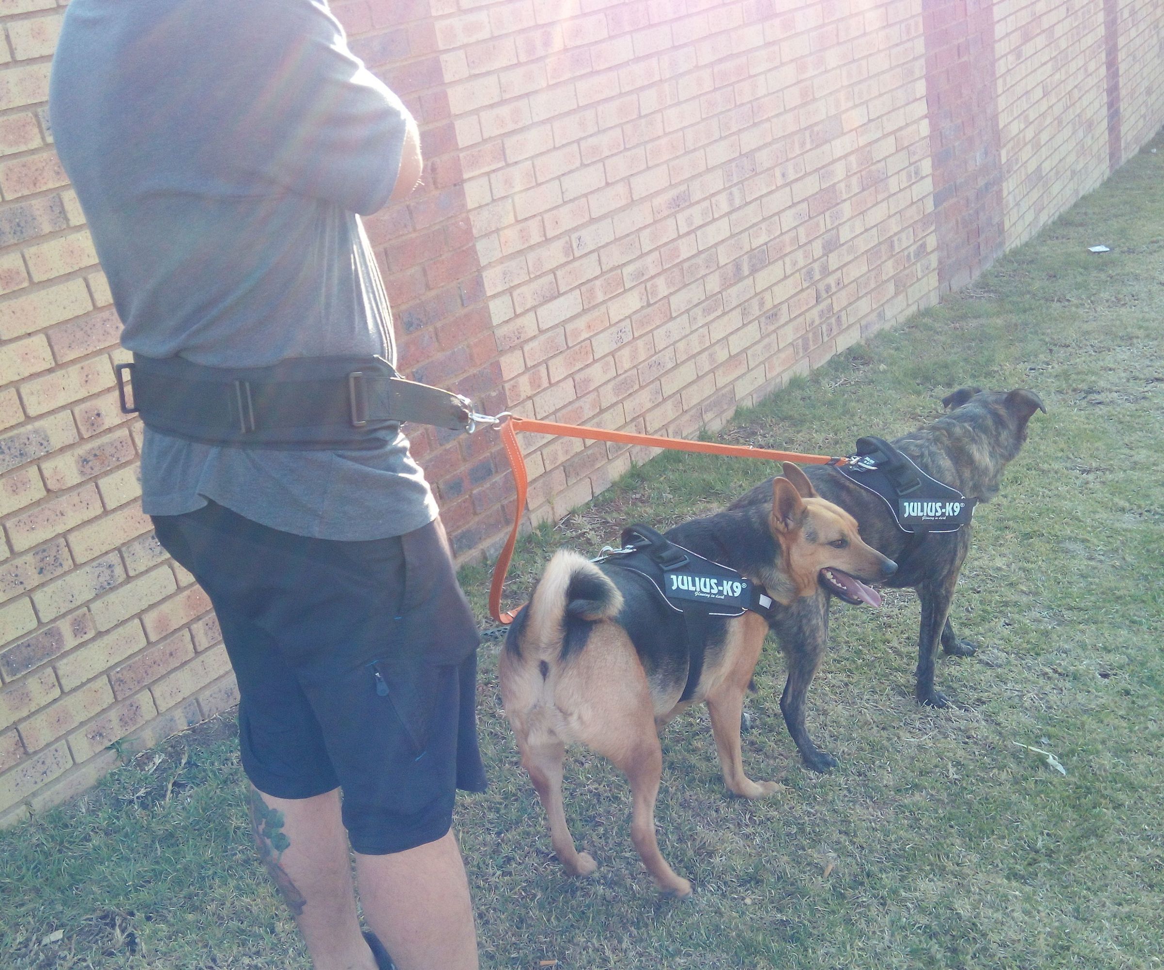 DIY guide for Jogging Belt (for Running With Dogs) with step-by-step instructions