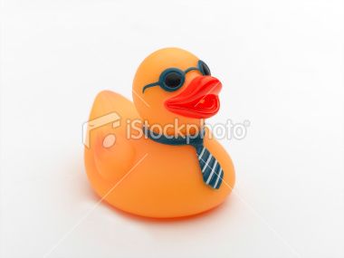 carpfluff