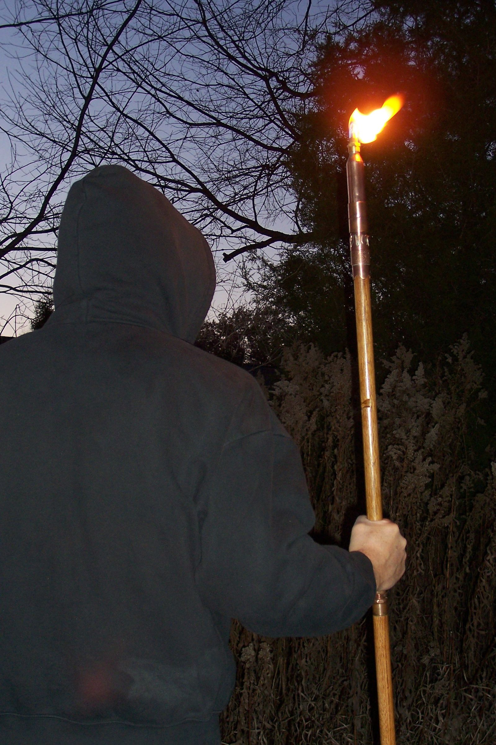 Multifunction Walking Stick III Torch Bearer 9 Steps (with