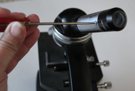 Easy Webcam Microscope : 5 Steps (with Pictures) - Instructables