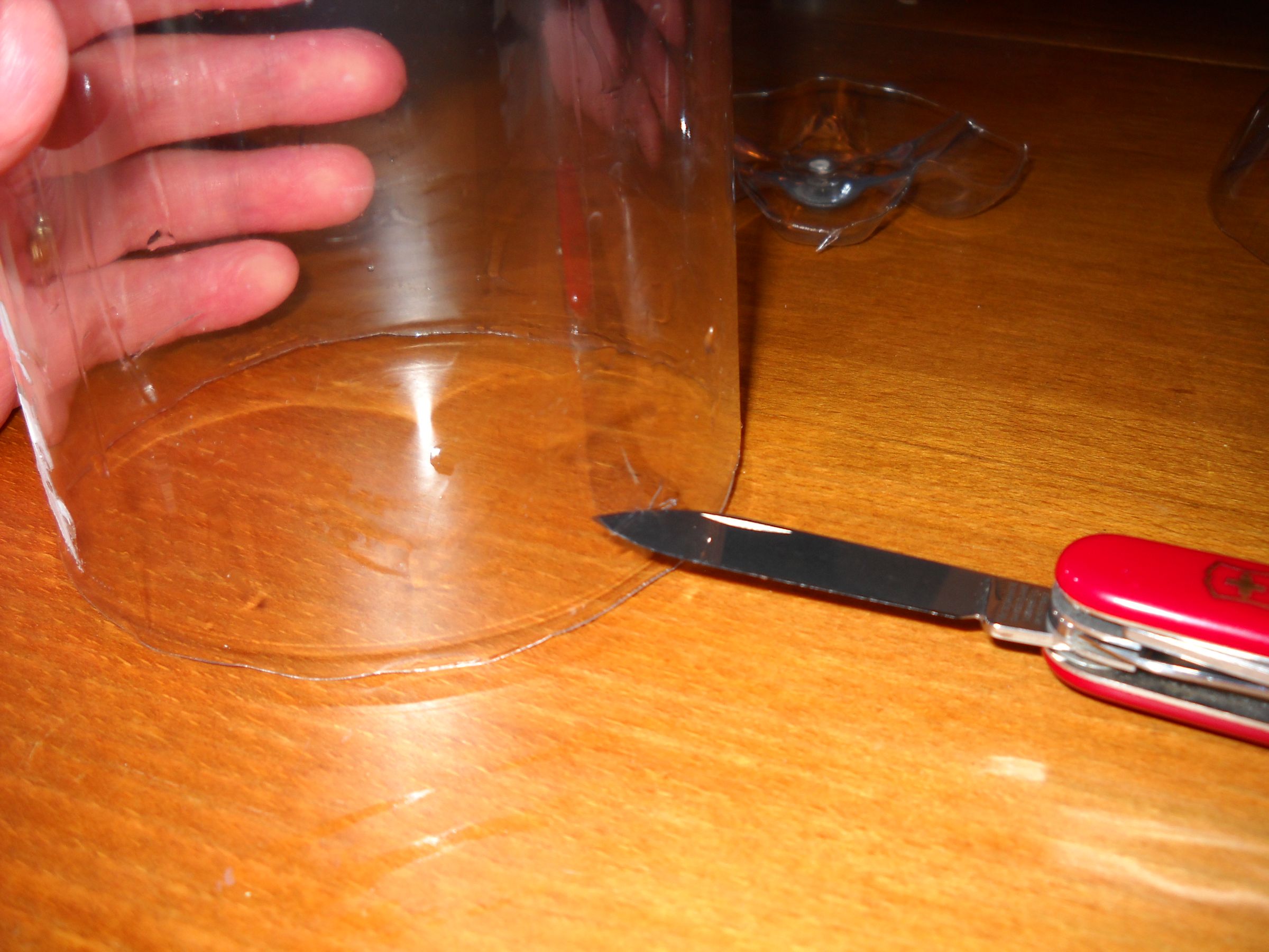 Mini Greenhouse for Seedlings Cat Proof! 9 Steps Instructables