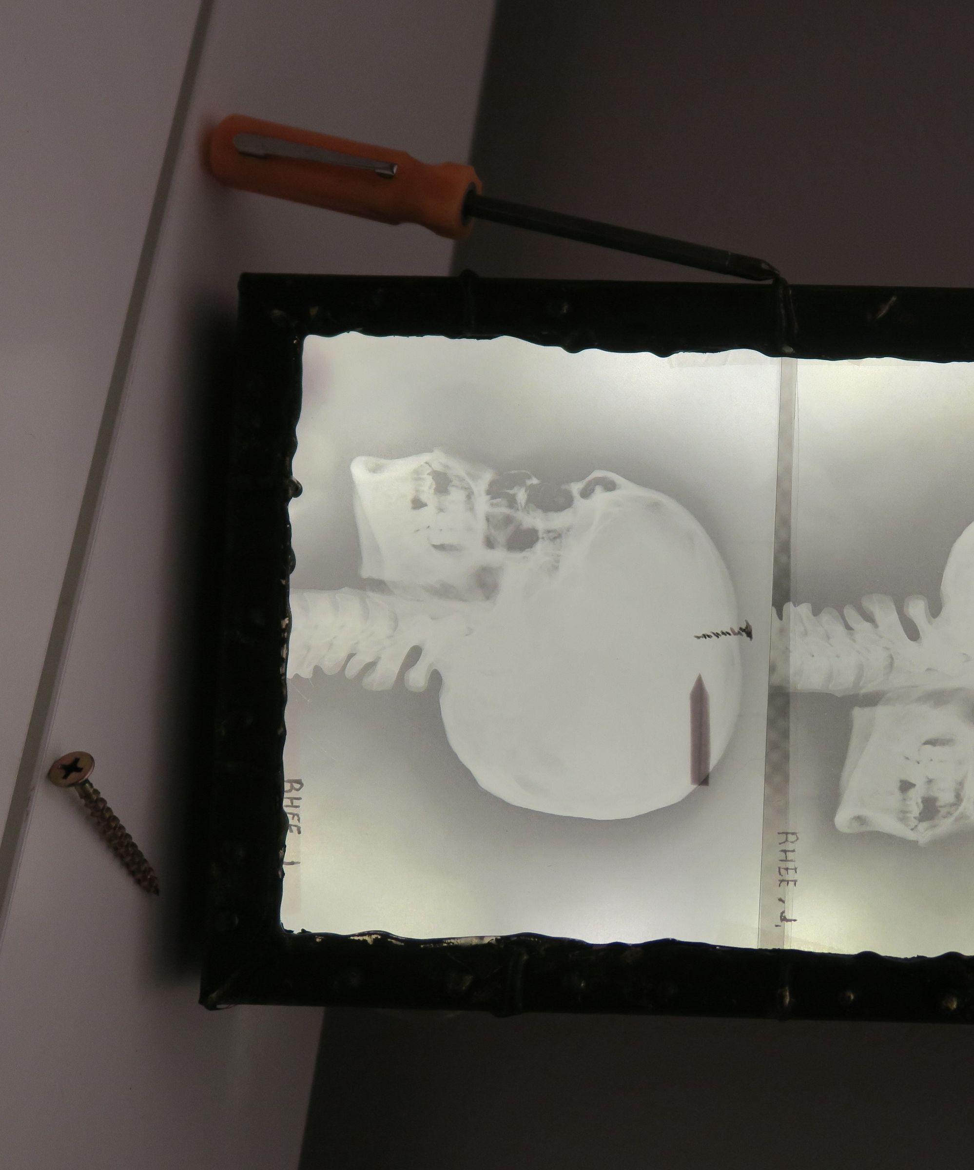 x-ray light DIY Project DIY Project Image