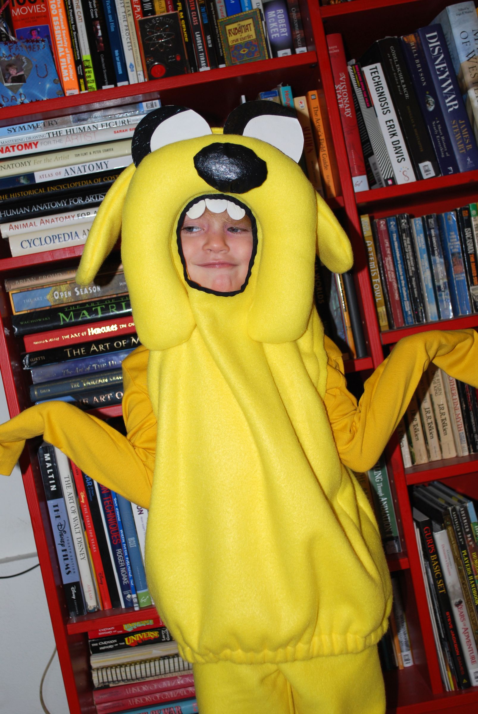 adventure time! make jake! DIY Project DIY Project Image