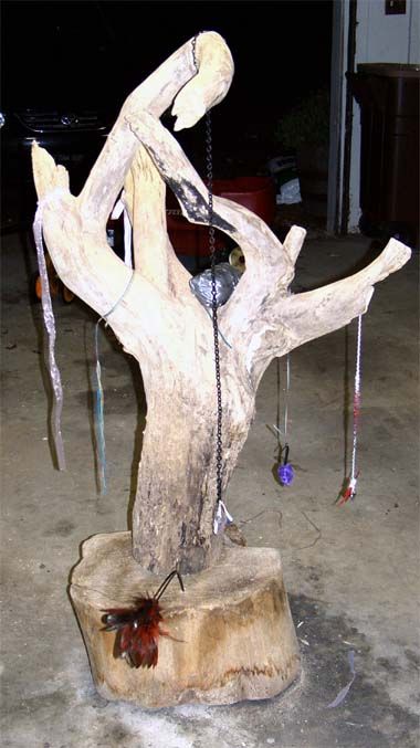 diy driftwood cat tree