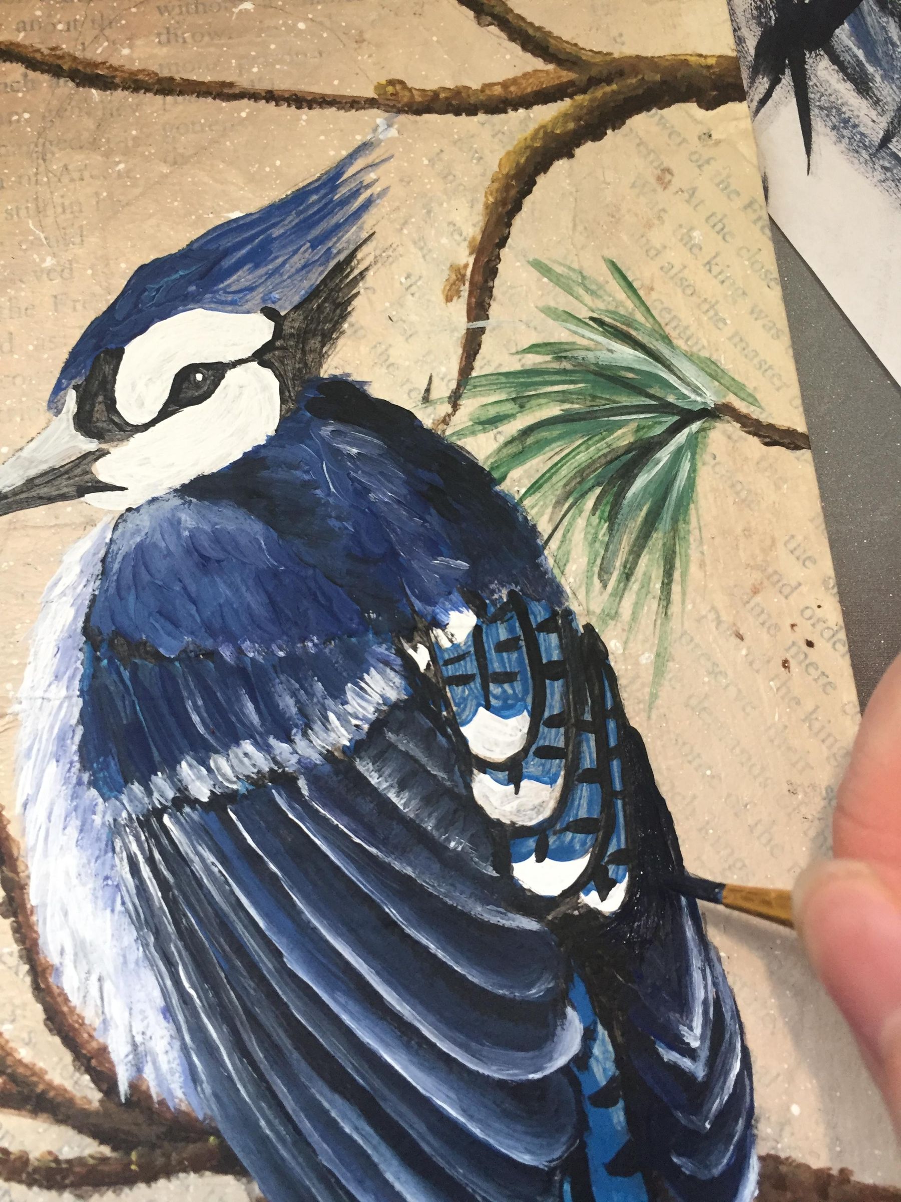 How to Paint a Blue Jay on a Branch. 13 Steps (with Pictures