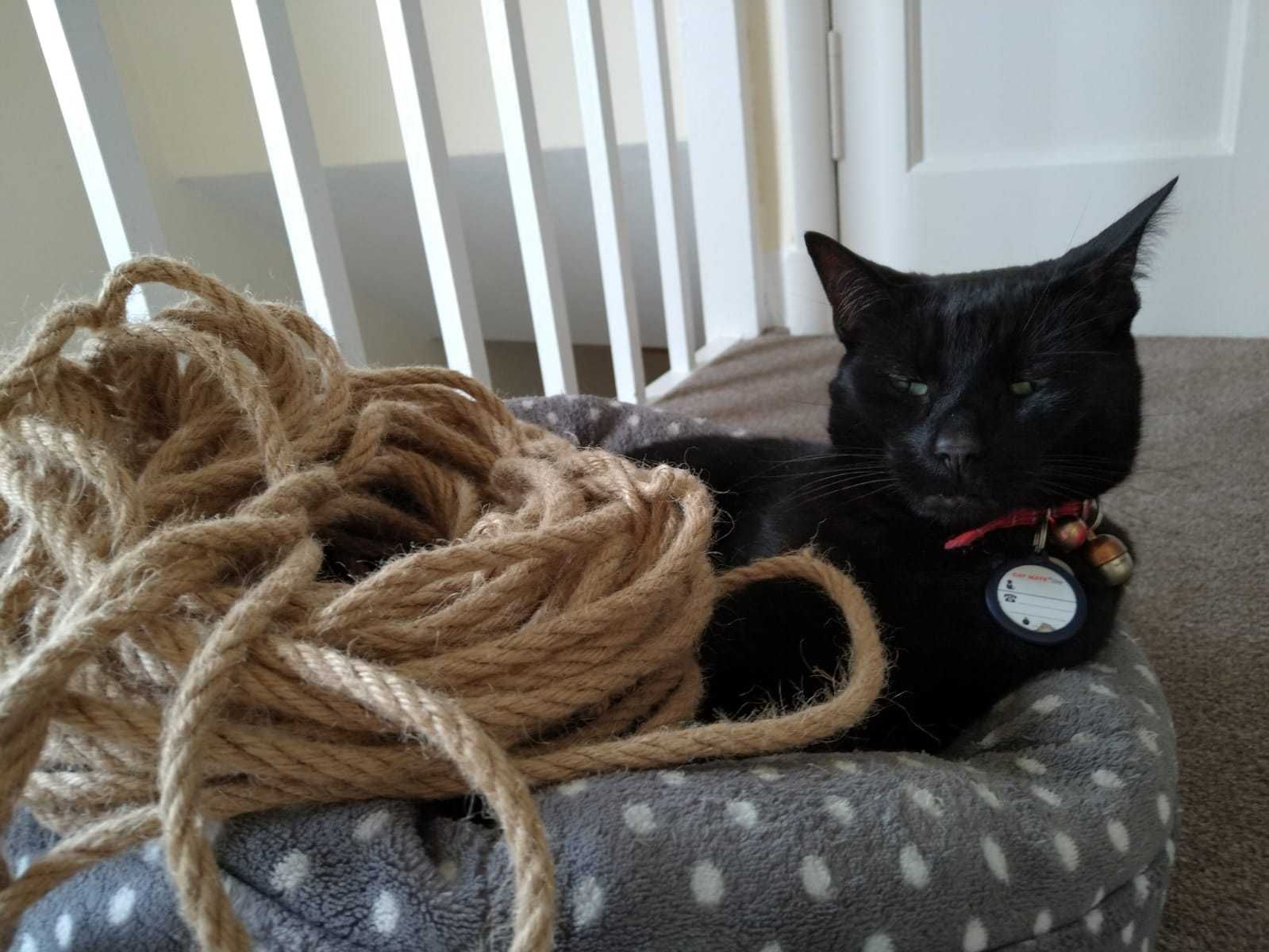 cat scratcher for stairs