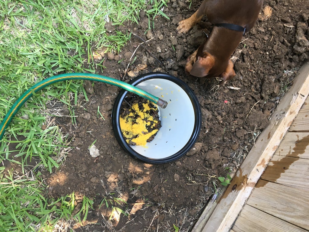 Diy Doggie Septic System With Natural Starter 14 Steps With Pictures Instructables Diy Doggie Septic System With Natural Starter 14 Steps With Pictures Instructables