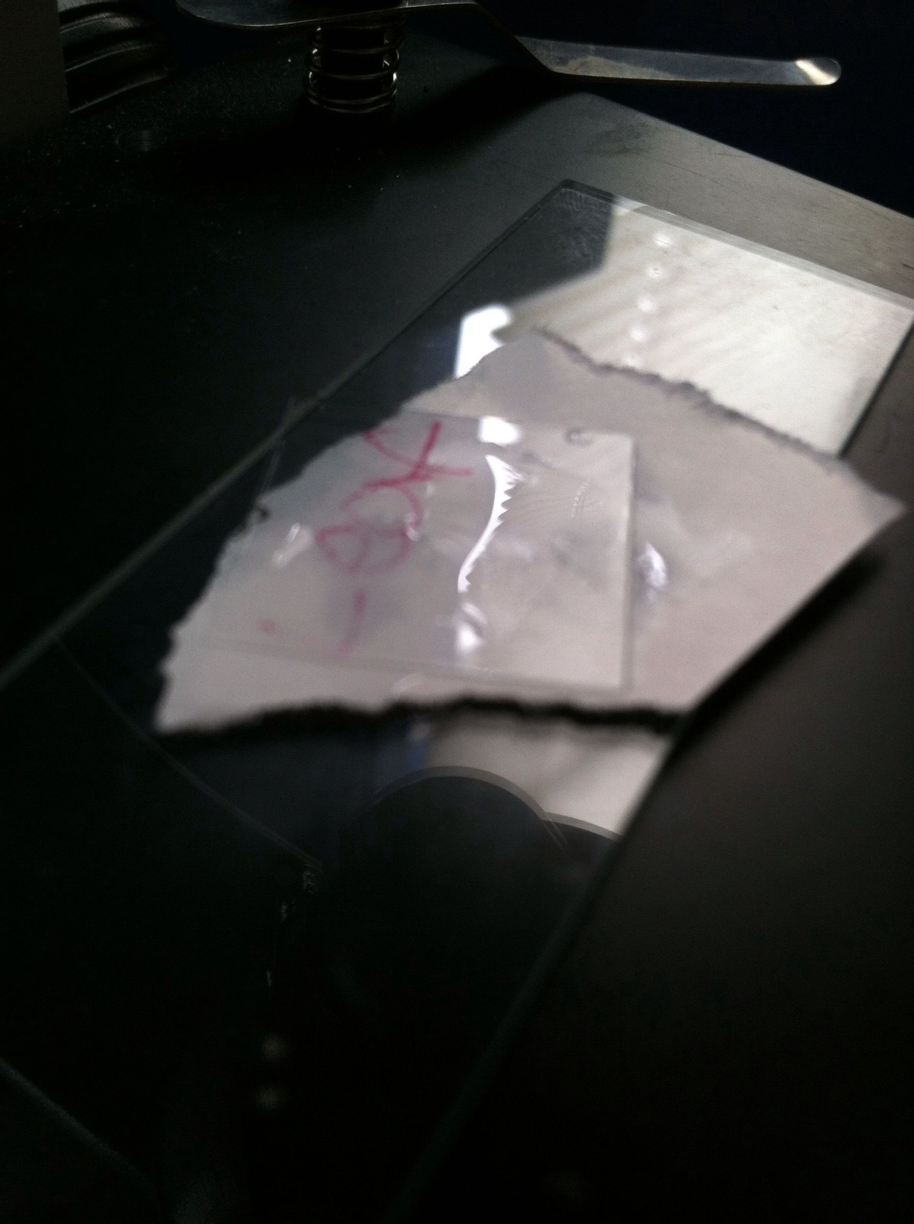 How to Create a Wet Mount 4 Steps Instructables