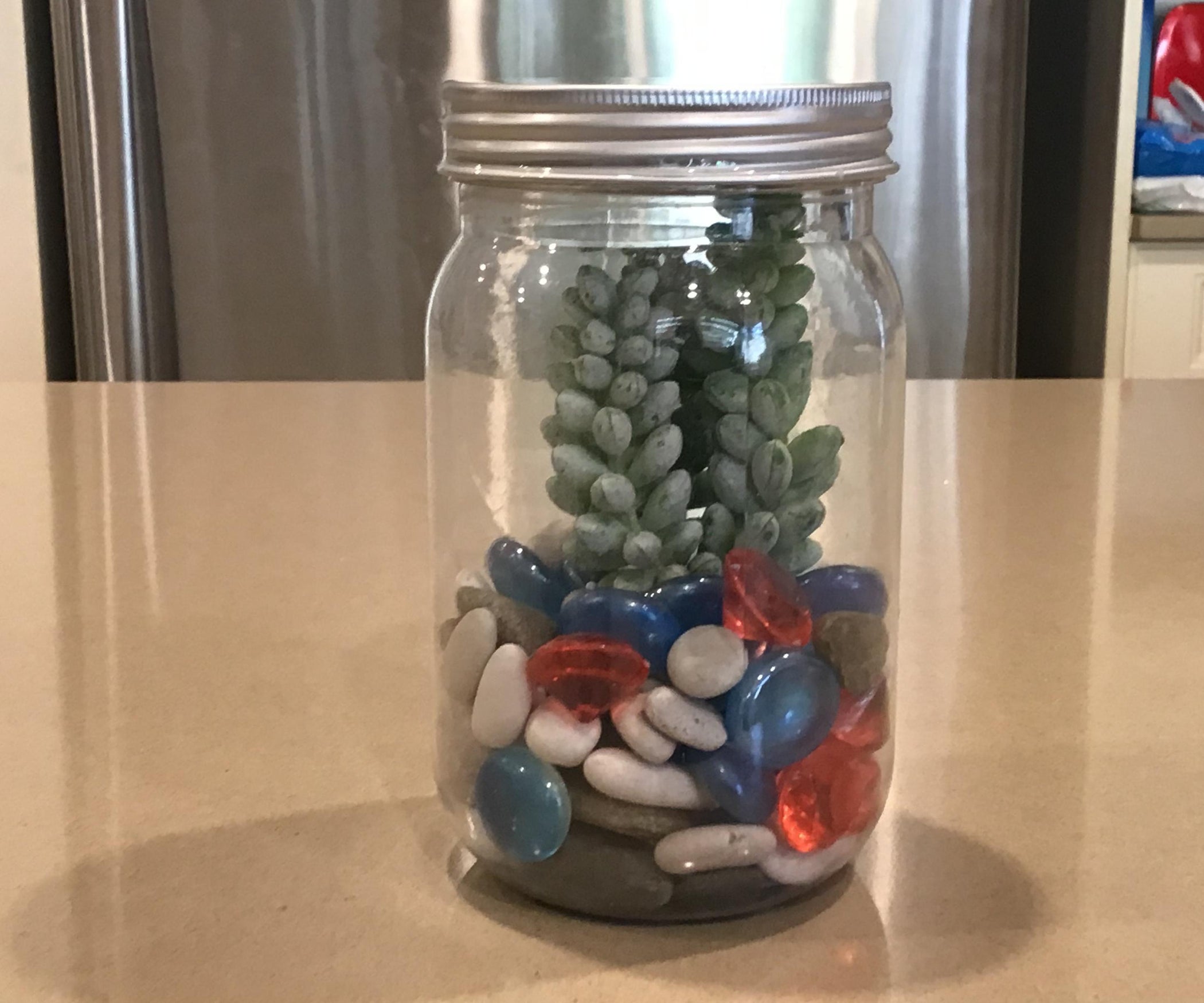 Super Easy DIY Mason Jar Terrarium 3 Steps Instructables