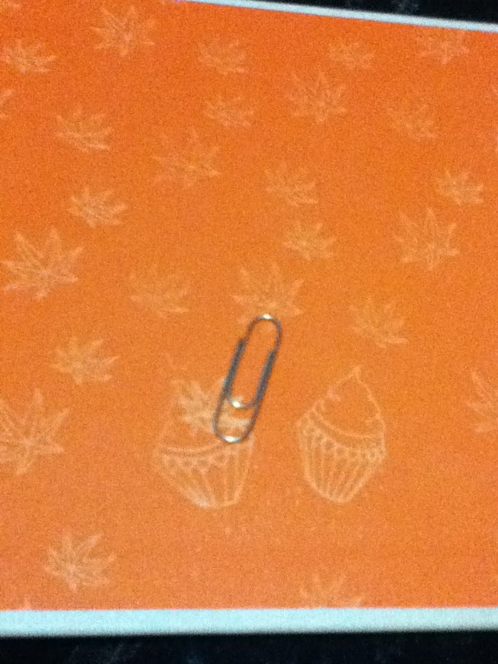 How To Make A Hook For Hanging Ceilings With Paper Clips 4 Steps Instructables - Can You Hang Things From A Drop Ceiling How To Make A Hook For Hanging Ceilings With Paper Clips 4 Steps Instructables - Can You Hang Things From A Drop Ceiling