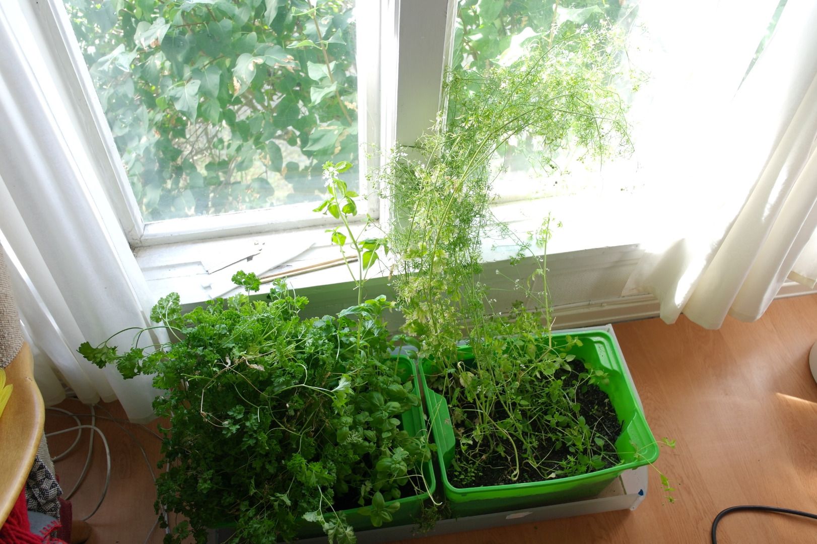 Indoor Herb Garden With Automatic Watering 8 Steps (with Pictures