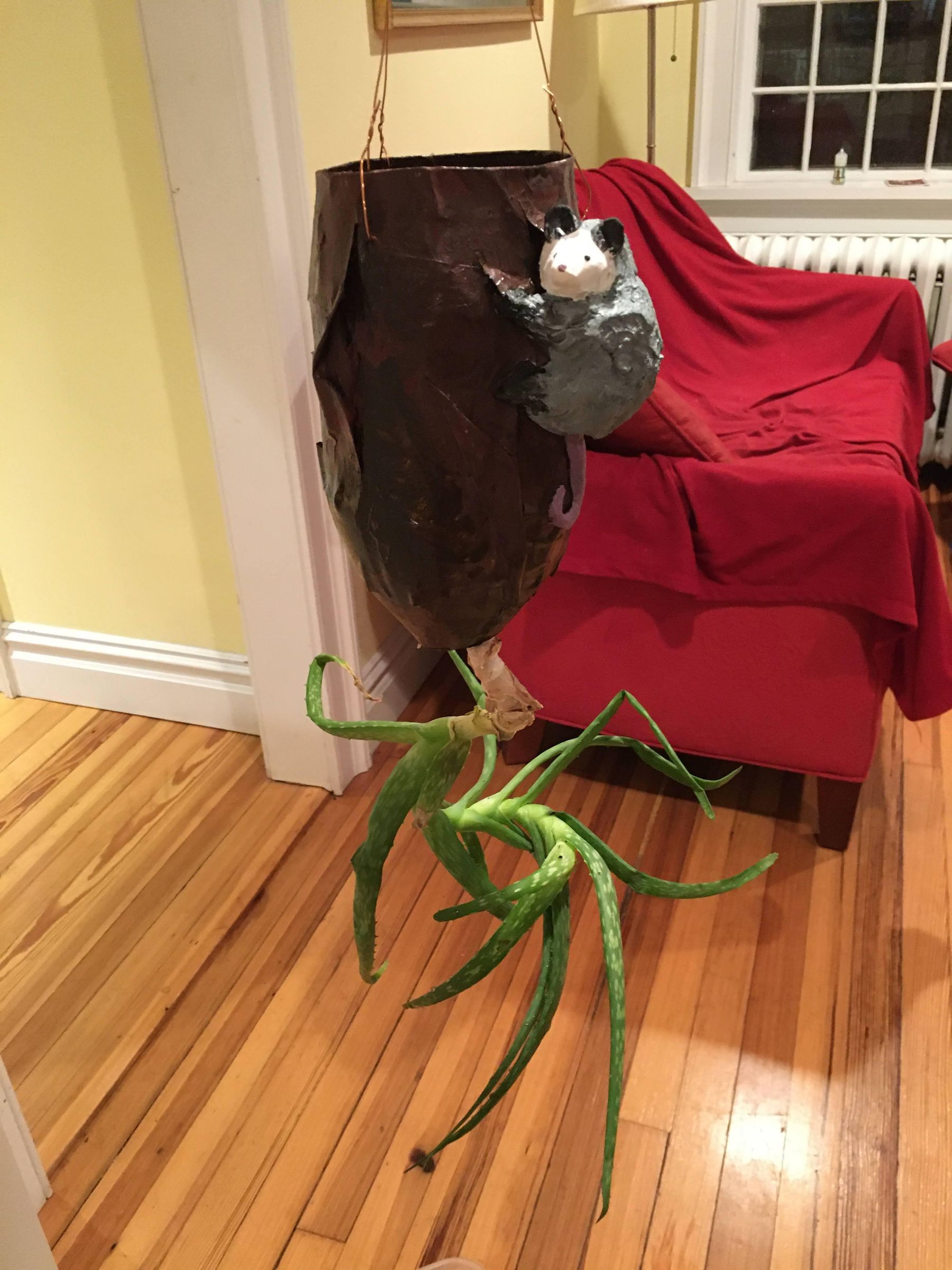 Upside-down Hanging Pot With Things You (May) Have in Your House