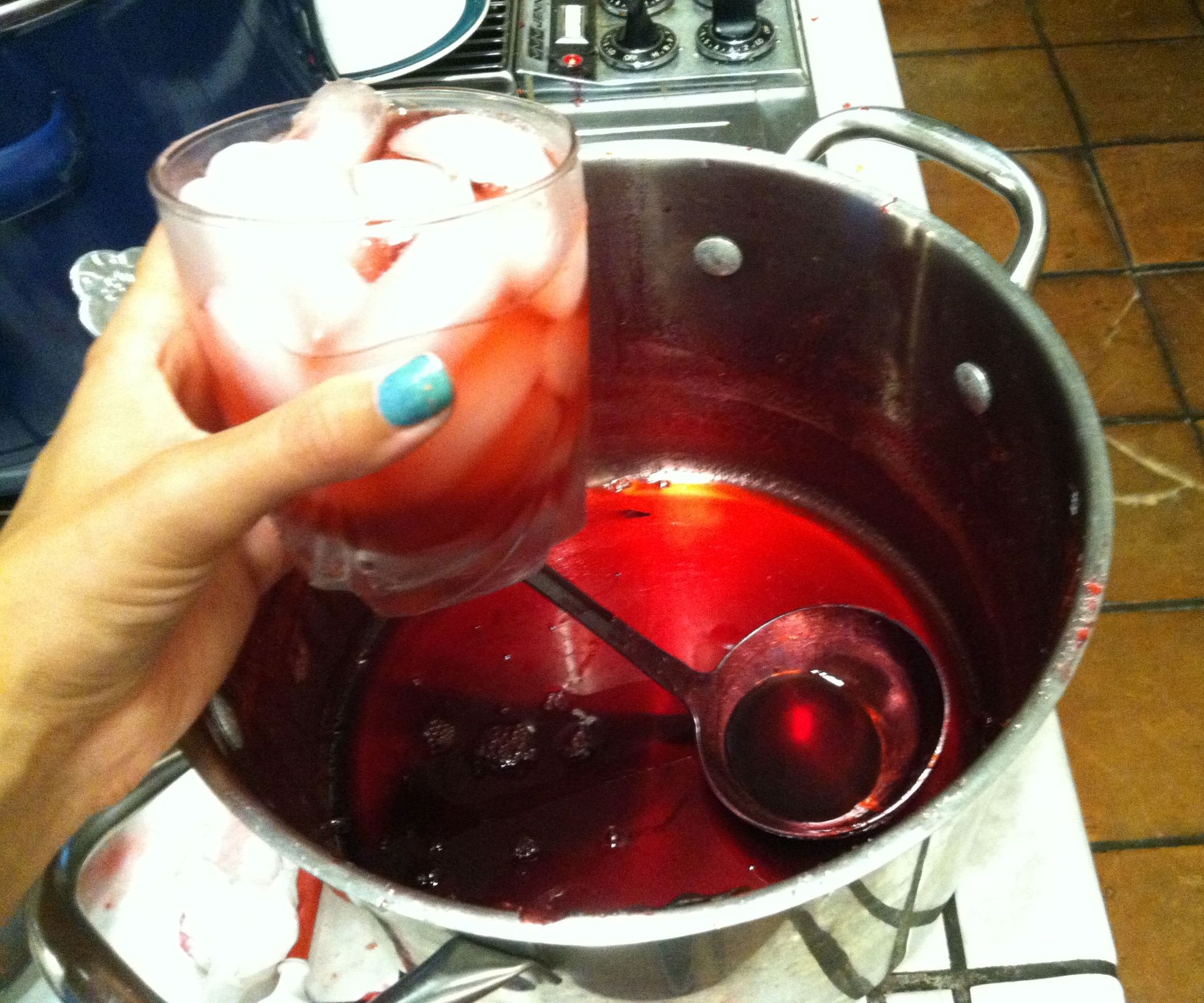 Roselle Syrup for Drinks! 5 Steps (with Pictures) Instructables