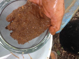 Testando, testando, um, dois, três...