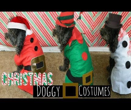 diy $1 xmas doggy costumes DIY Project DIY Project Image
