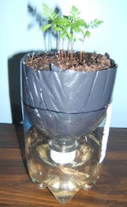 Self Watering Recycled Plant Pot For Growing Herbs And Flowers 13 Steps With Pictures Instructables