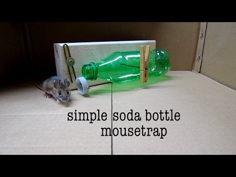 Diy Simple Soda Bottle Mousetrap 11 Steps With Pictures Instructables - Making A Diy Humane Mouse Trap Diy Simple Soda Bottle Mousetrap 11 Steps With Pictures Instructables - Making A Diy Humane Mouse Trap