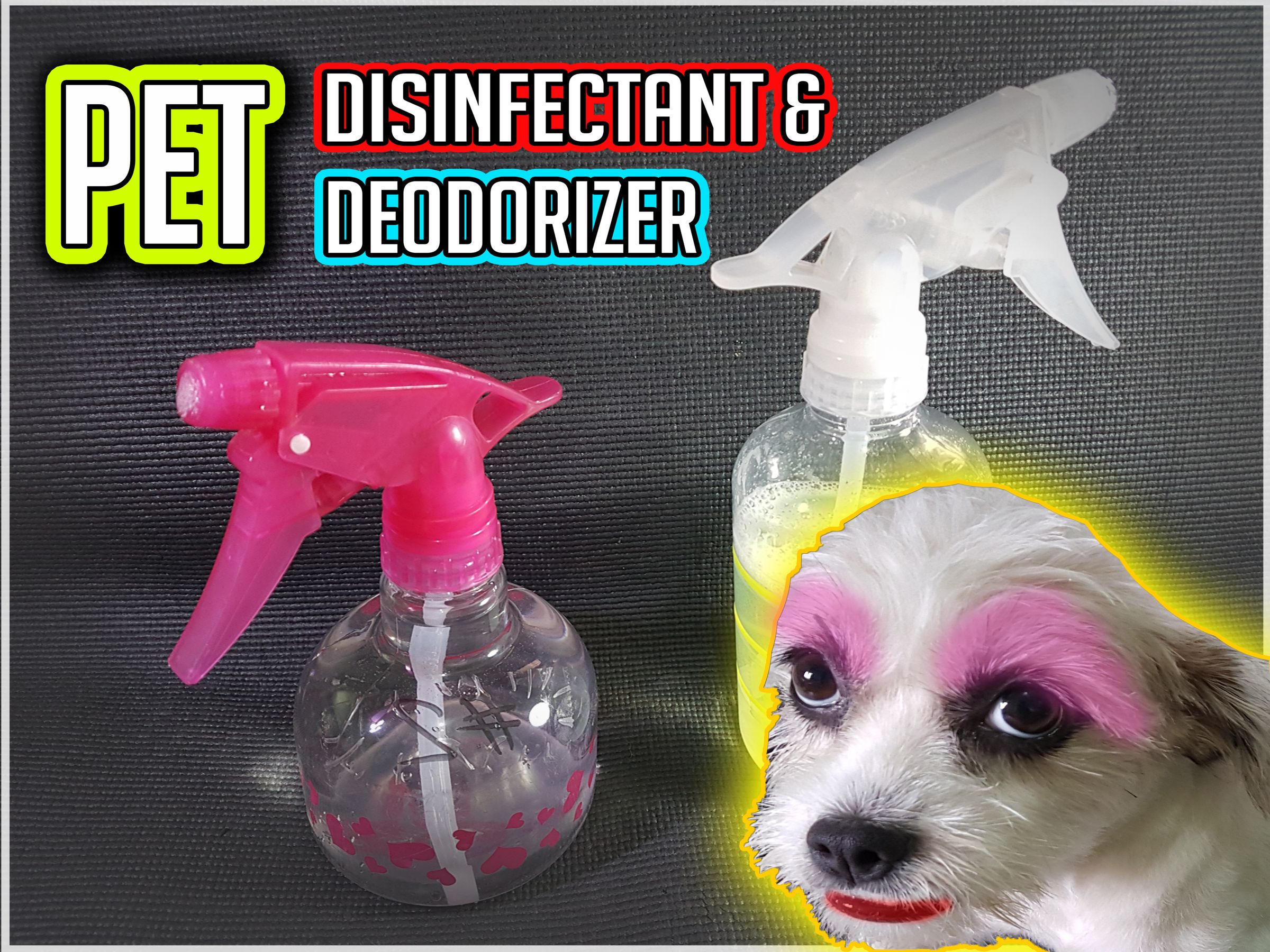 dog pee disinfectant