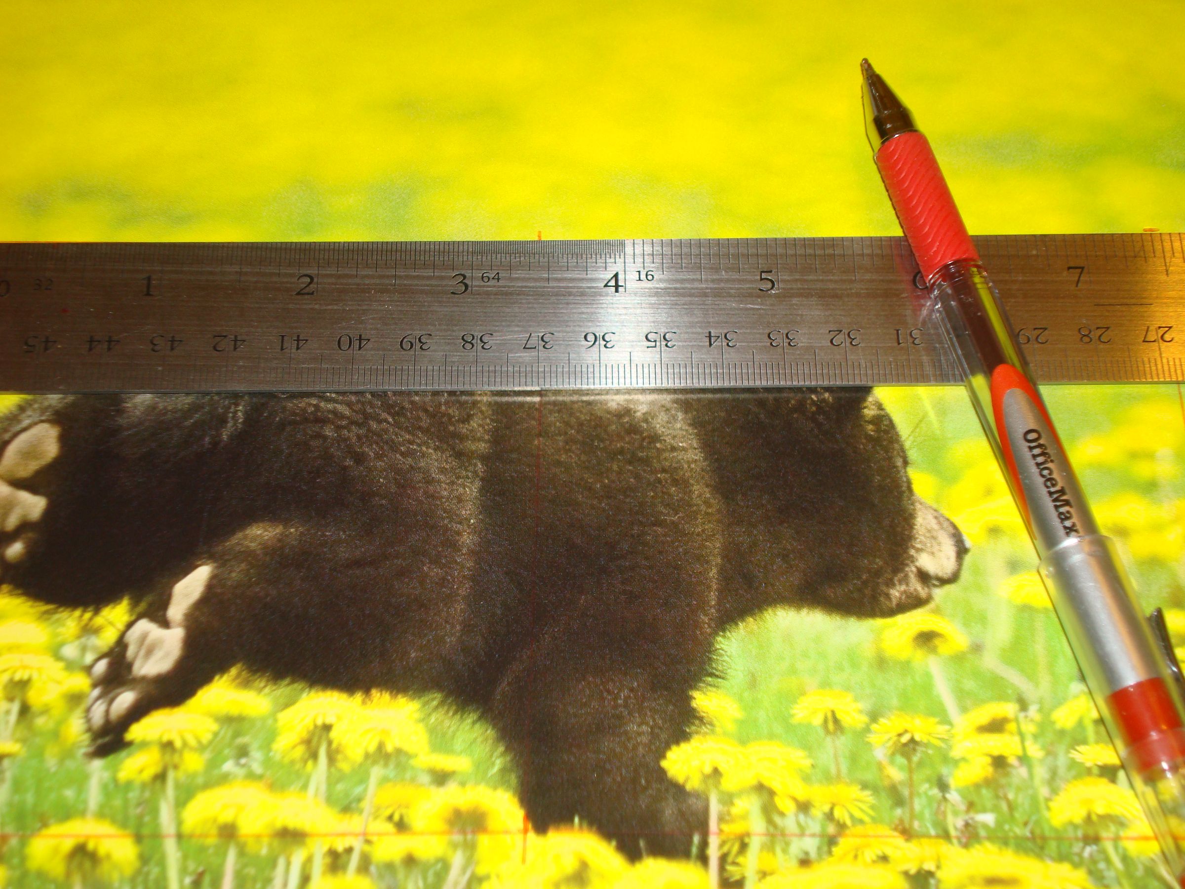 How to Make Post It Notes 7 Steps (with Pictures) Instructables