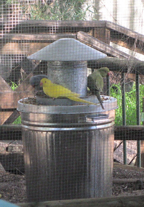 Spill Free & Rodent Controlling Bird Feeder (with Pictures) Instructables