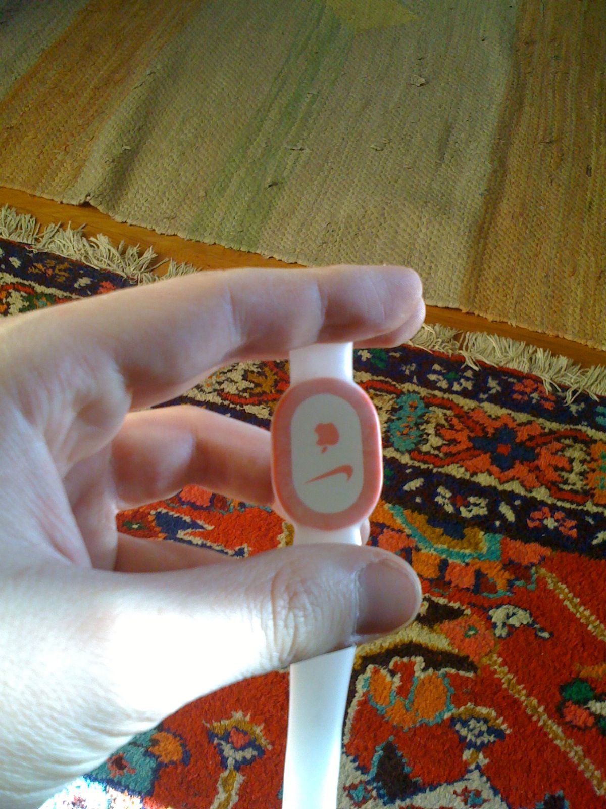 Nike Plus\