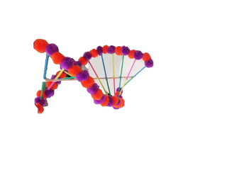 3d Dna Model And Video 5 Steps Instructables 3d Dna Model And Video 5 Steps Instructables
