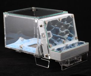 Medium Modular Formicarium (Ant Farm)
