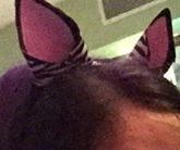 zebra ears DIY Project DIY Project Image