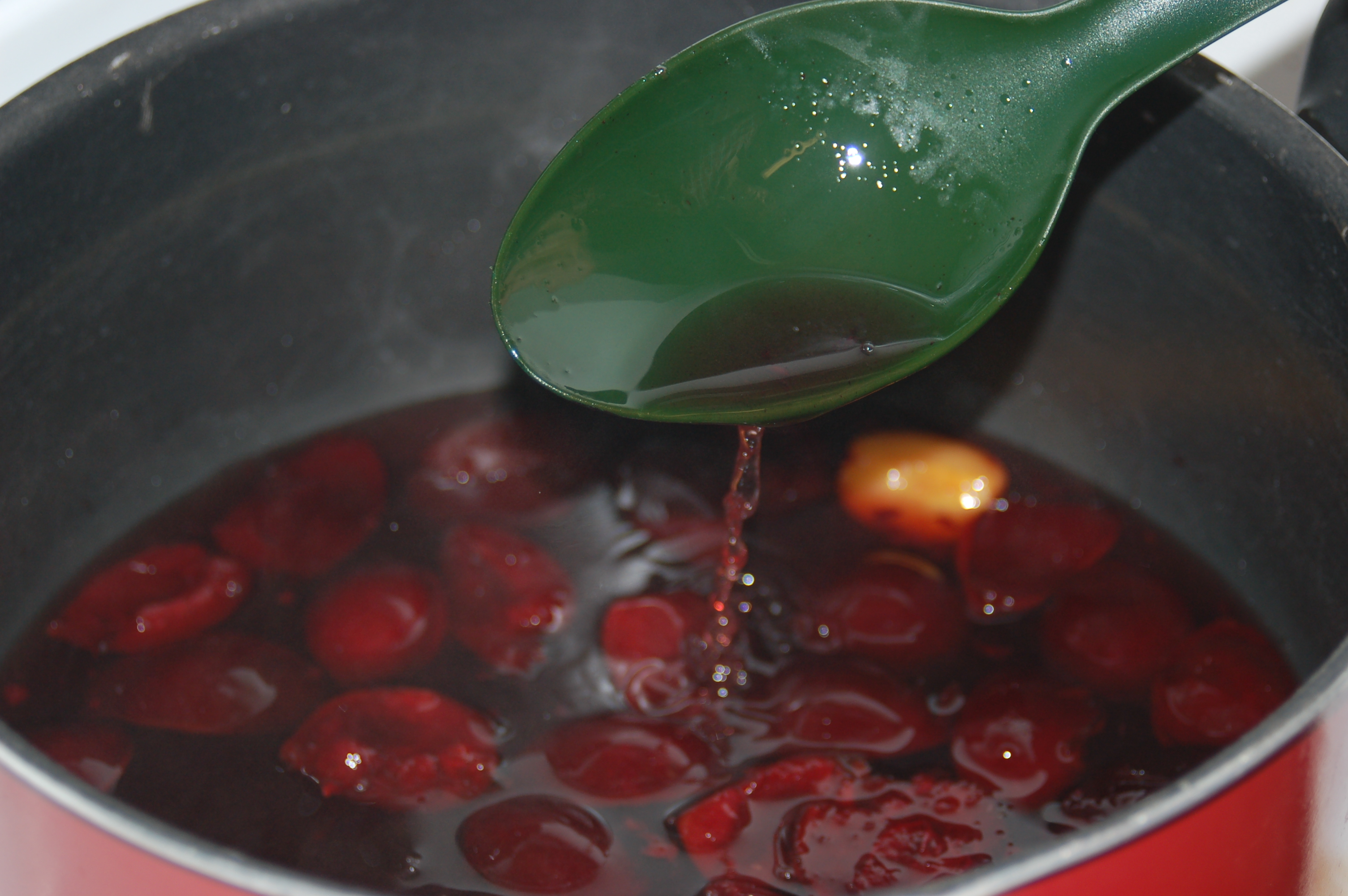 Plum Good Syrup 4 Steps (with Pictures) Instructables