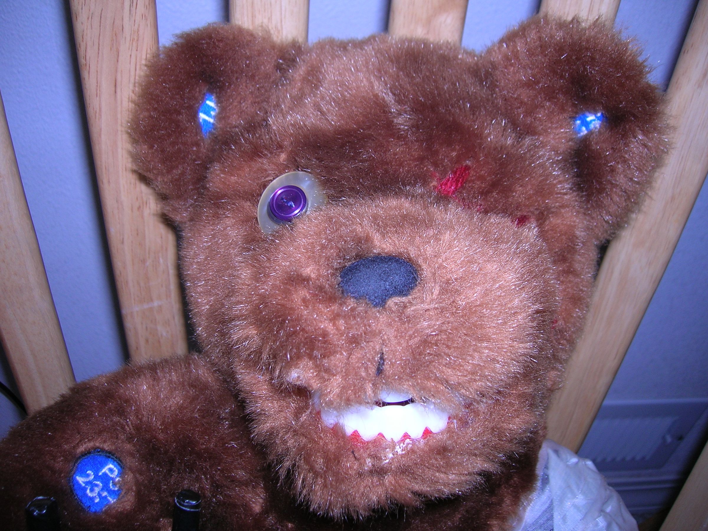 Scare Bear 10 Steps (with Pictures) Instructables