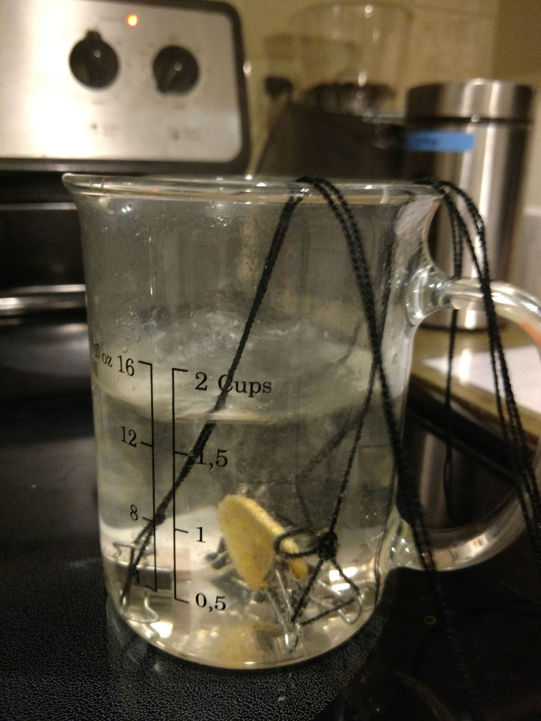 A Biodegradability Experiment You Can Do With Kids! : 8 Steps ...