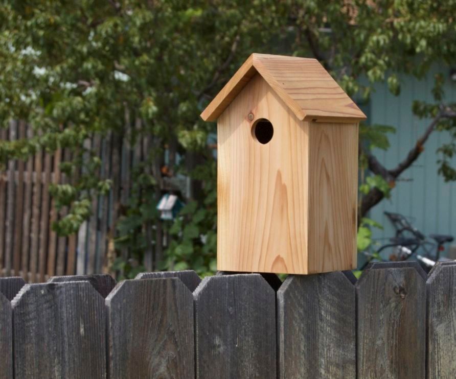 Cedar BlueBird Birdhouse 4 Steps (with Pictures) Instructables