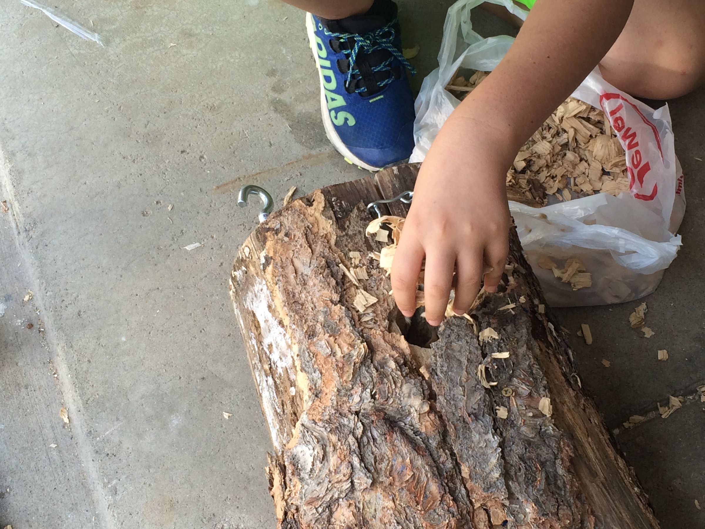 Red-Headed Woodpecker Nesting Box : 7 Steps (with Pictures) - Instructables
