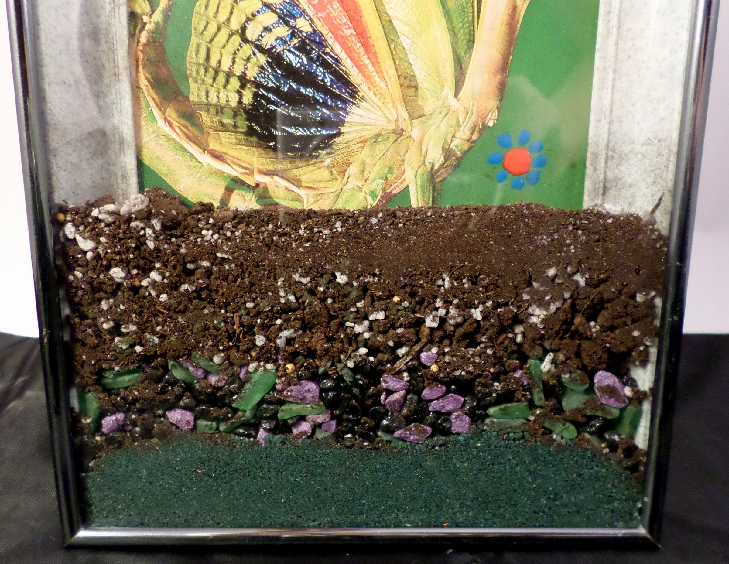 Picture Frame Terrarium 13 Steps (with Pictures) Instructables