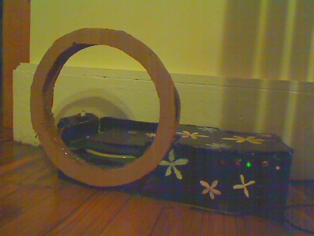 automatic cat feeder rfid