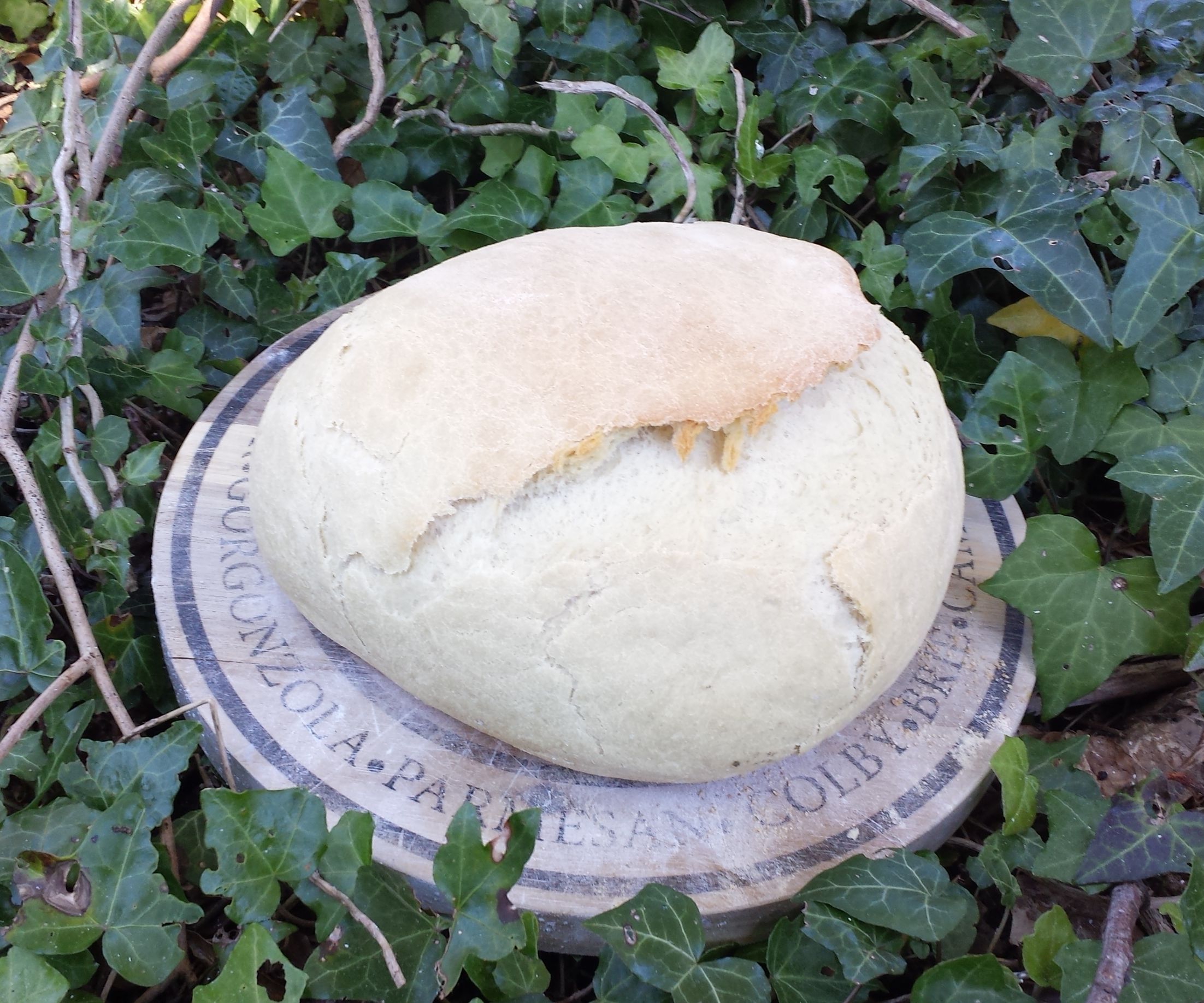 Pão de forno holandês, provações e tribulações