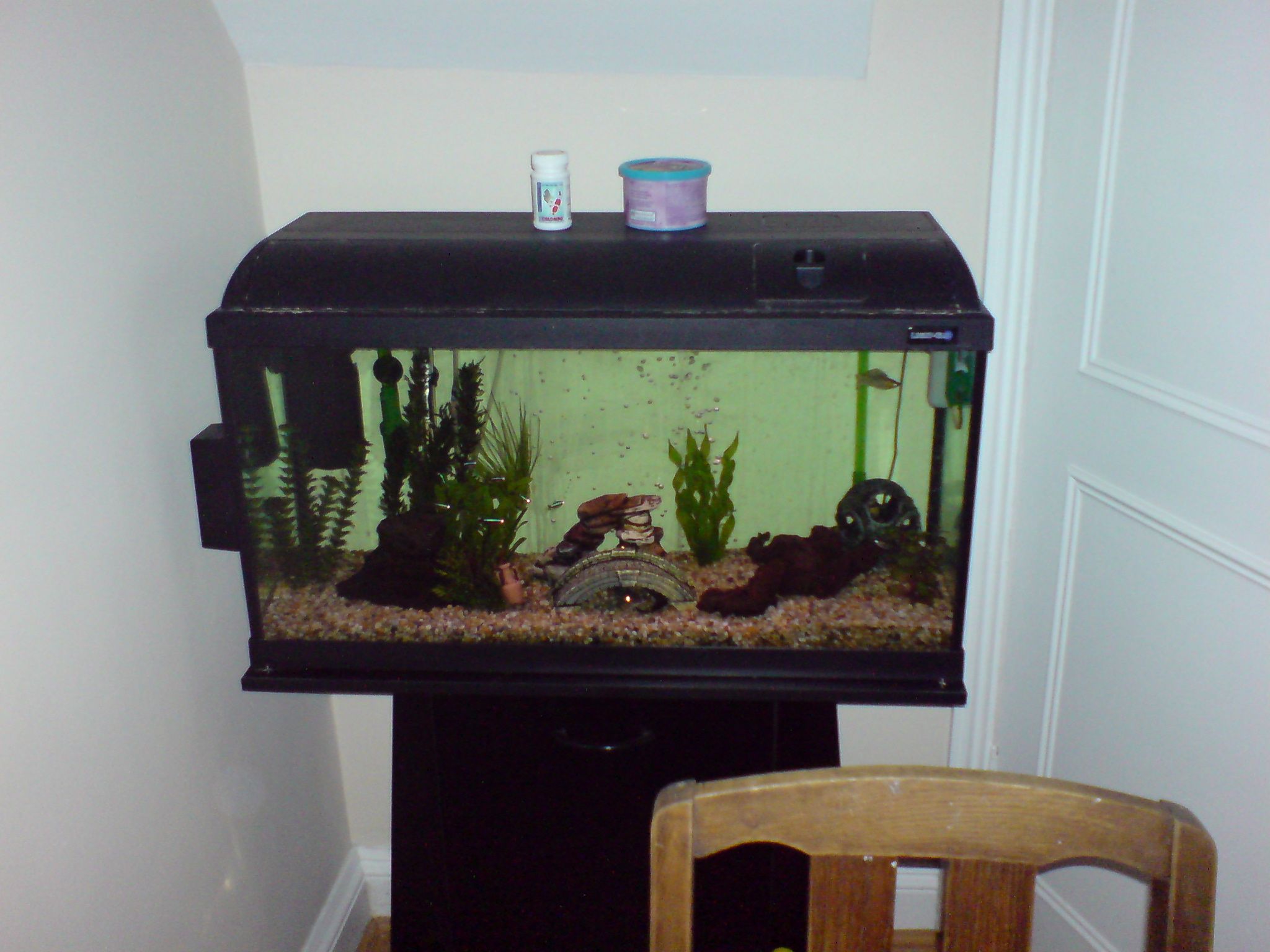 Making an Online Fish Tank cam! 8 Steps (with Pictures