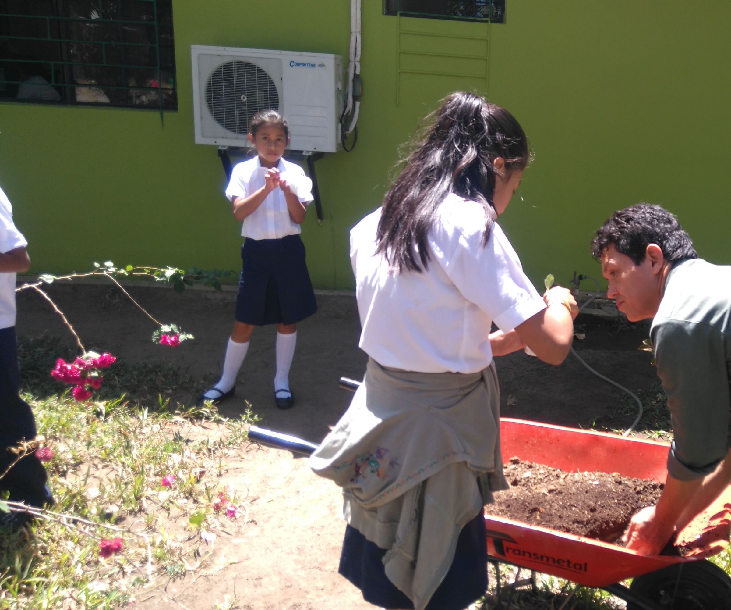 Step-by-step guide for huertos escolares DIY Project DIY project