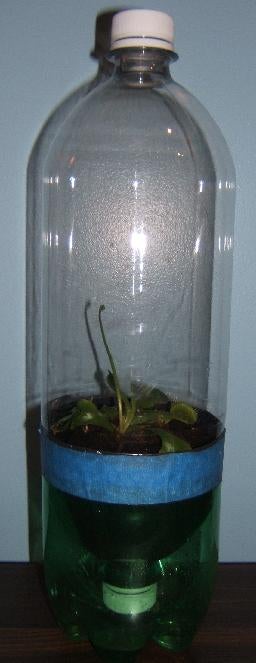 Self Watering Recycled Plant Pot For Growing Herbs And Flowers 13 Steps With Pictures Instructables