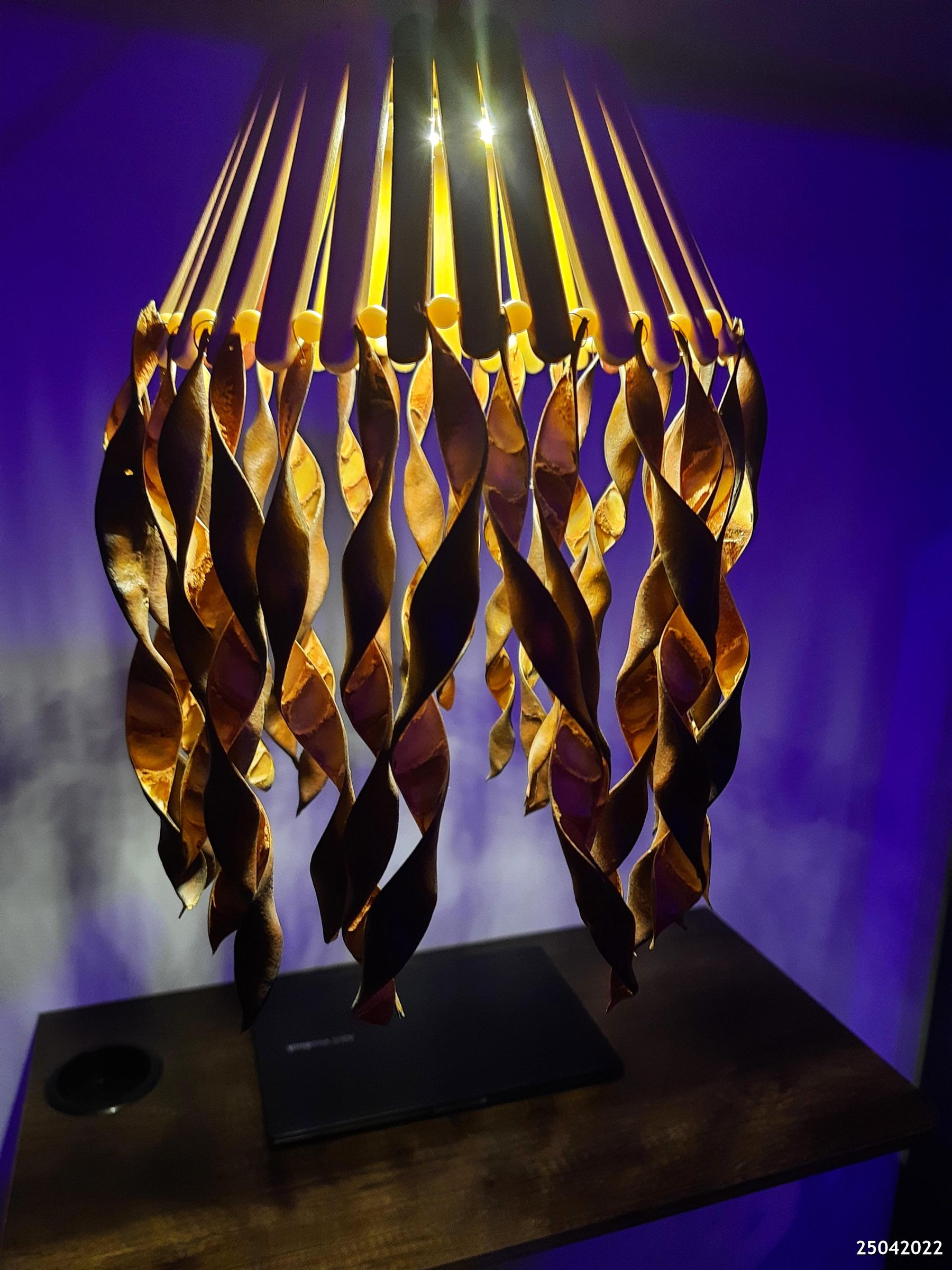 Lamp Using Kachnar (Bauhinia Variegata) Seed Pods कचनार लैंप 4 Steps