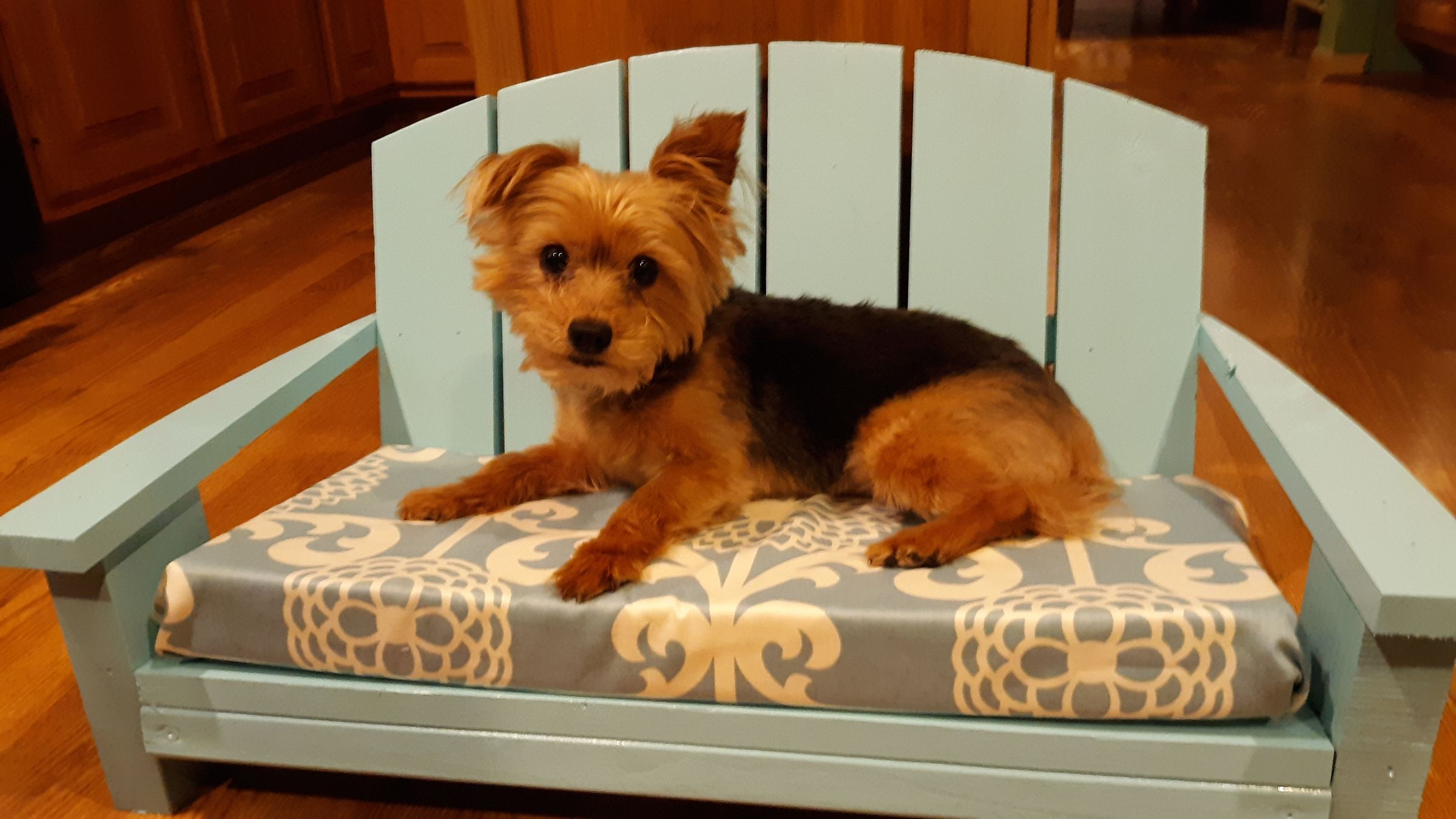 adirondack dog bed