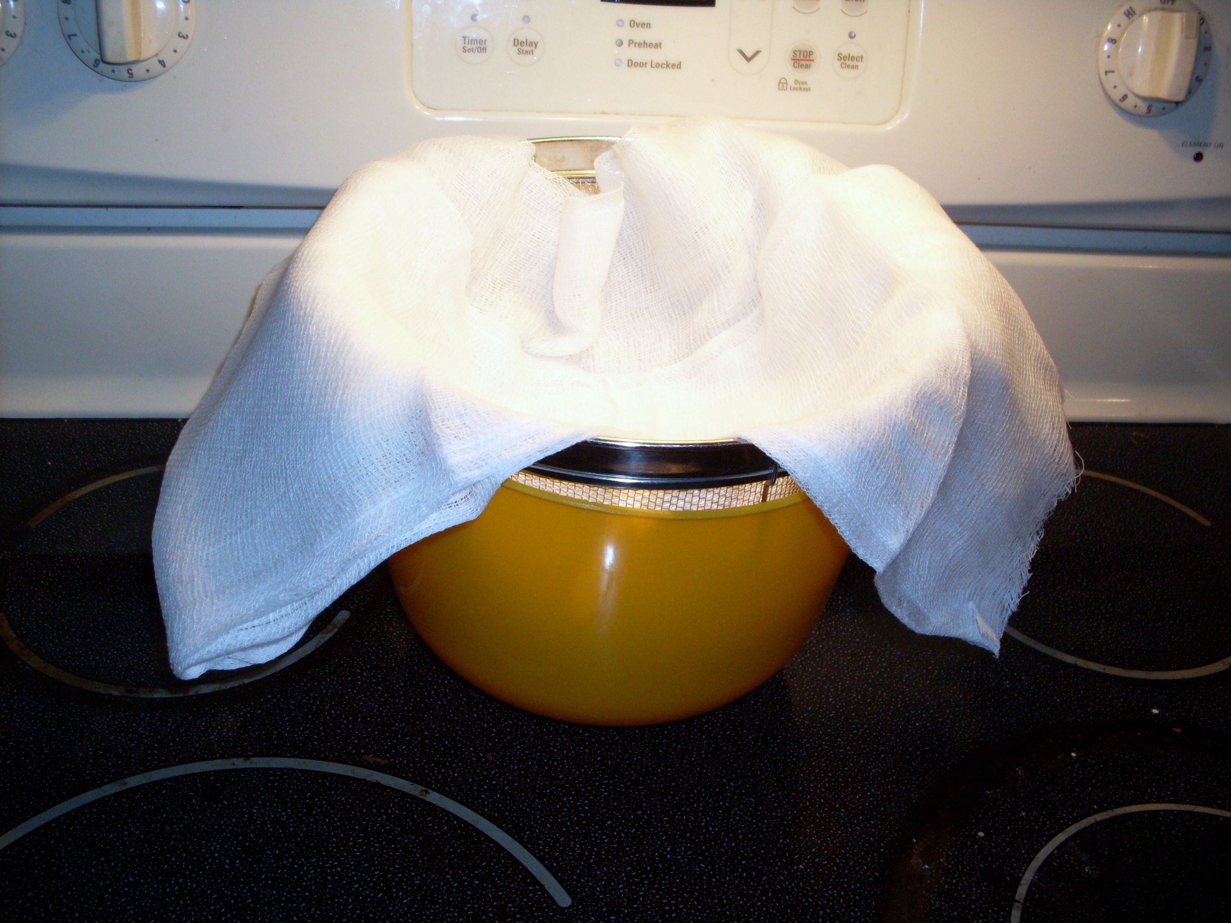 Tangy Yogurt Cheese Spread 3 Steps (with Pictures) Instructables