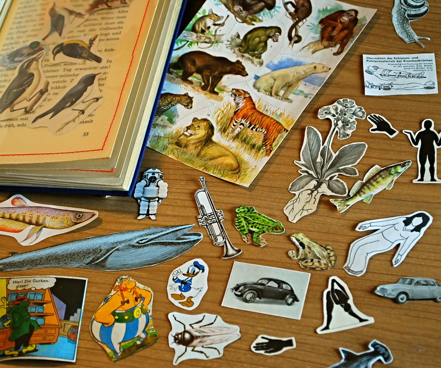 Recycle Old Books Into Stickers