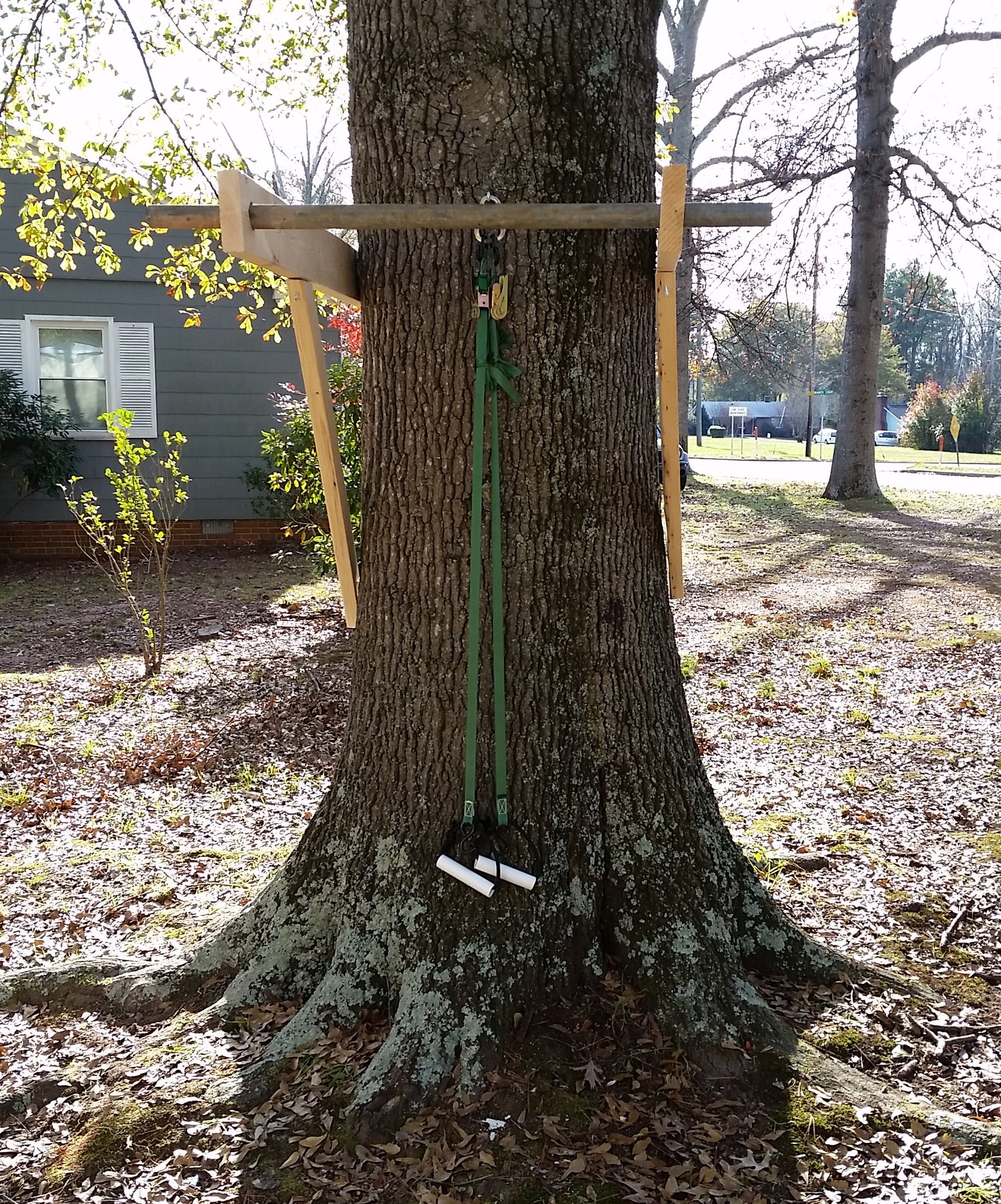 Pullup Bar on a Tree With No Limbs 3 Steps Instructables