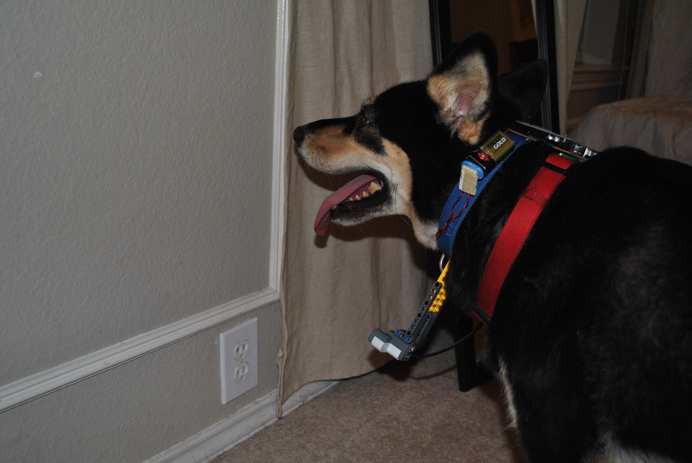 Sonar Collar For Blind Dogs 5 Steps With Pictures Instructables