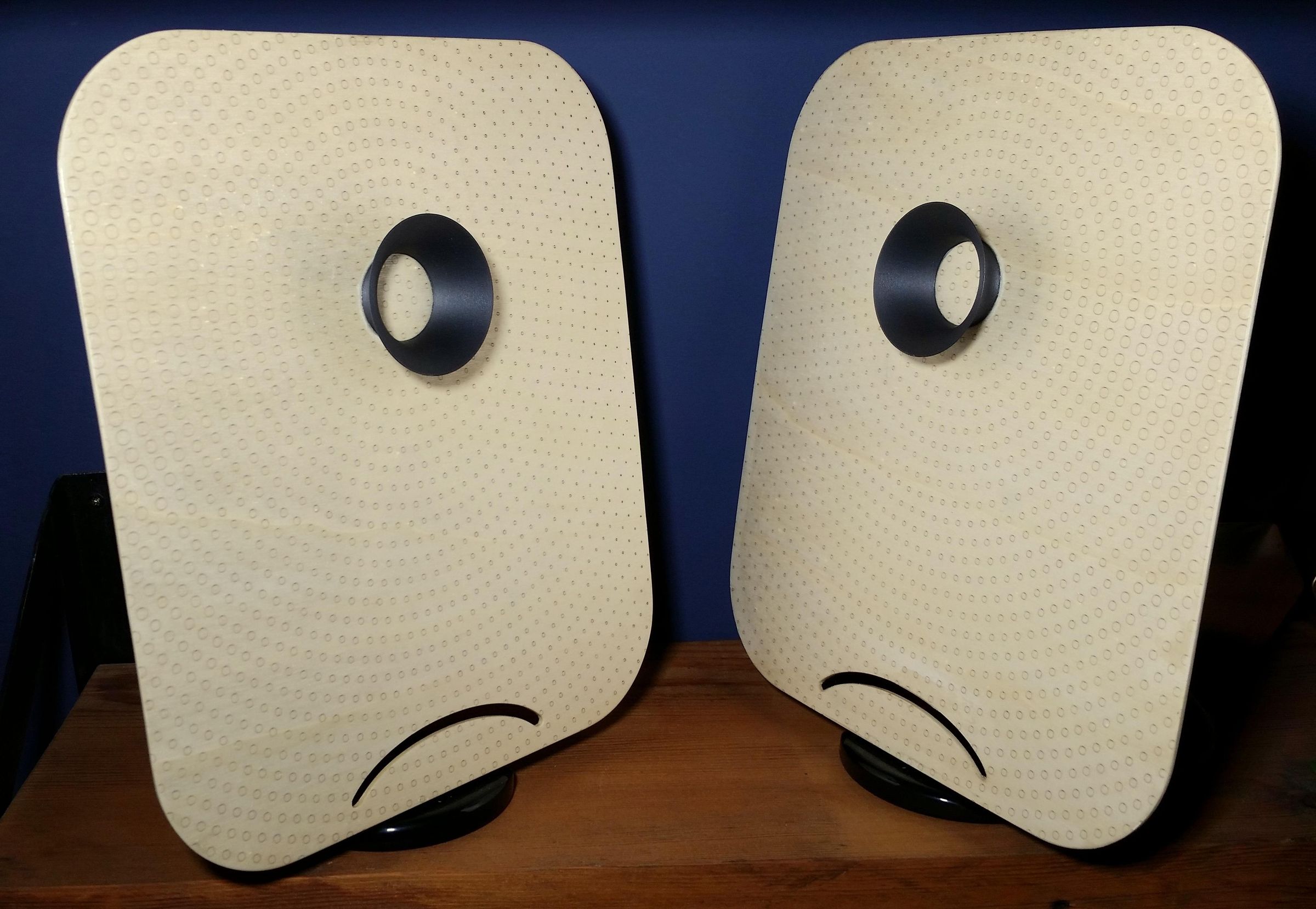 Plywood DML Speakers 12 Steps (with Pictures) Instructables