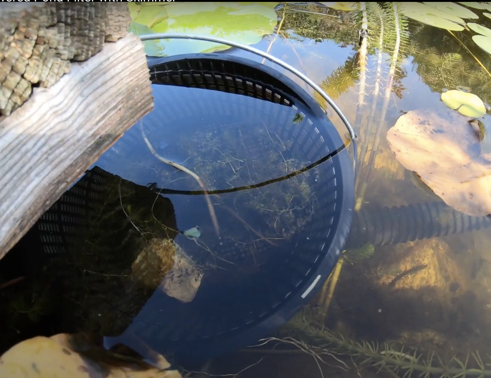 DIY Solar Powered Pond Filter With Skimmer 4 Steps (with Pictures